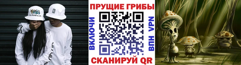 Псилоцибиновые грибы MAGIC MUSHROOMS  Вольск 