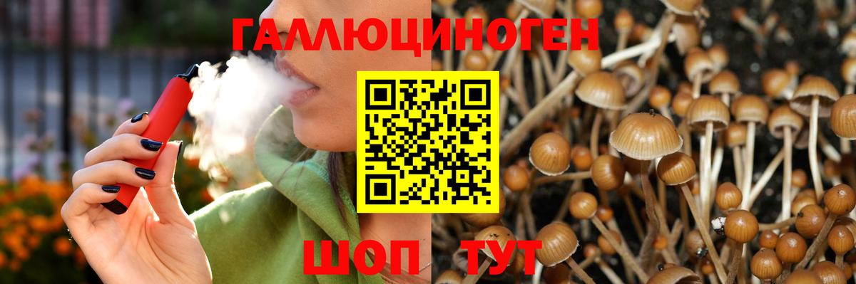 Псилоцибиновые грибы Cubensis Вольск